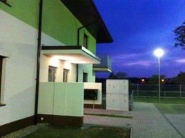 zdjęcie Zielone Agresty