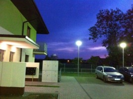 zdjęcie Zielone Agresty