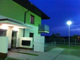 zdjęcie Zielone Agresty