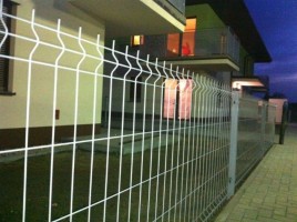 zdjęcie Zielone Agresty