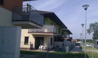 zdjęcie Zielone Agresty