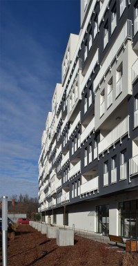 zdjęcie Kępa Mieszczańska