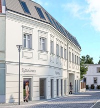 zdjęcie Krzywoustnego 295