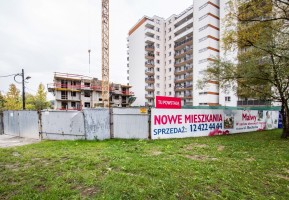 zdjęcie Malwy
