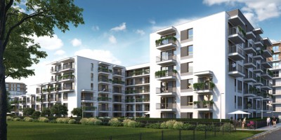 zdjęcie Borsucza 55