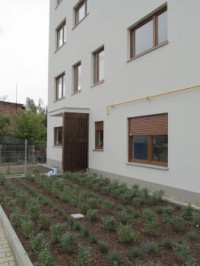 zdjęcie Bosa Nova