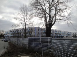 zdjęcie Miasteczko Rubikon