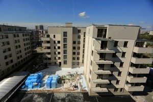 zdjęcie Dąbie Park