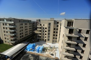 zdjęcie Dąbie Park