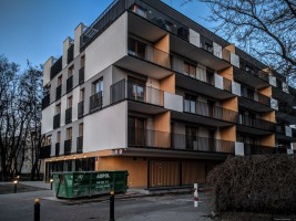 zdjęcie Wincentego 66