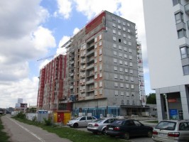 zdjęcie Awiator