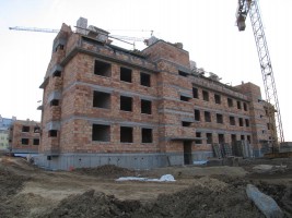 zdjęcie Dolina Cisów