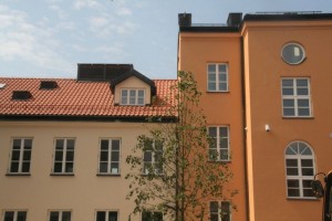 zdjęcie Dom Rothblitha