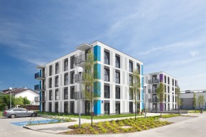 zdjęcie Klonowy Zakątek