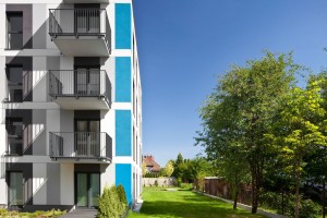 zdjęcie Klonowy Zakątek