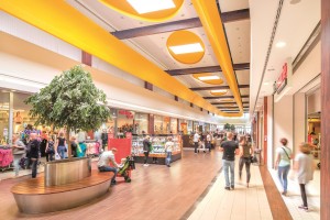 zdjęcie MMG Centers Ciechanów