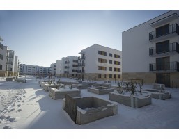 II etap