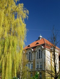zdjęcie VI Liceum Ogólnokształcące
