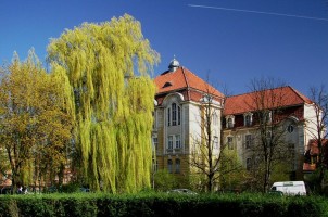 zdjęcie Zespół Szkół Ogólnokształcących nr 6