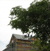 zdjęcie Fort Chrzanów