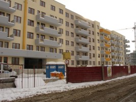 zdjęcie Skorosze X BIS