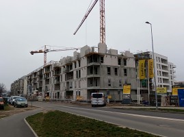 zdjęcie Polanka Milczańska