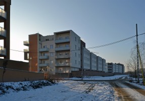 zdjęcie Jutrzenki