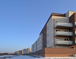 zdjęcie Jutrzenki
