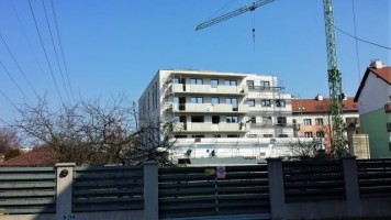 zdjęcie Enklawa Koszykarska II