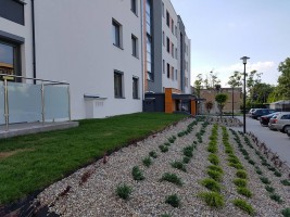 zdjęcie Ptasie Ogrody