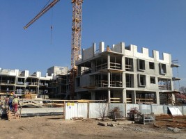 zdjęcie Aura Garden