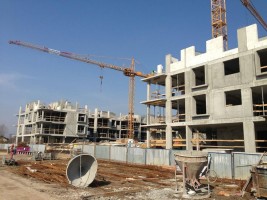 zdjęcie Aura Garden