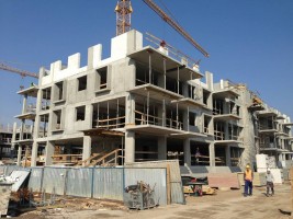 zdjęcie Aura Garden