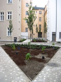 prace wykończeniowe