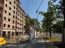 zdjęcie Na Sokratesa