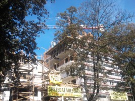 zdjęcie Niciarniana 9