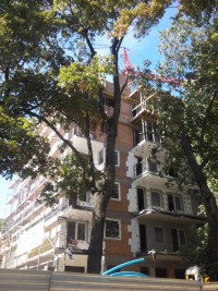 zdjęcie Niciarniana 9