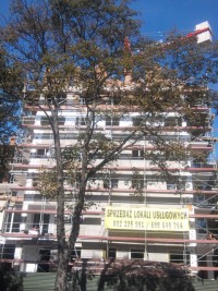 zdjęcie Niciarniana 9