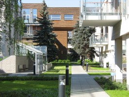 zdjęcie Allegretto