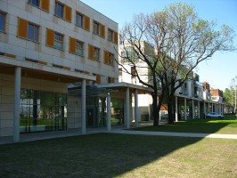 zdjęcie Bolero