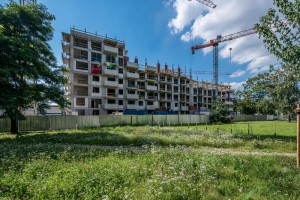 II etap
