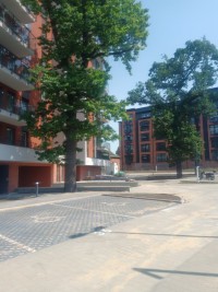 zdjęcie Apartamenty 8 Dębów