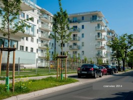 zdjęcie Tumski Park