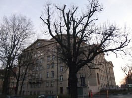 zdjęcie Teatr Wielki