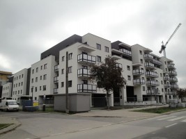 zdjęcie Niedzielskiego 2