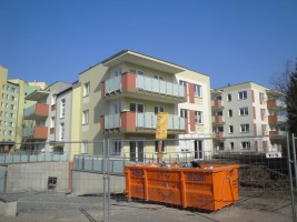 zdjęcie Osikowa/Sieciechowska