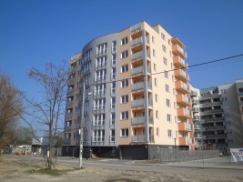 zdjęcie Żółwia 20