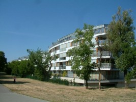 zdjęcie Nad Wartą