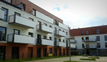 zdjęcie Wiosenny Przedświt