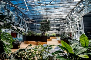 zdjęcie Wola Center